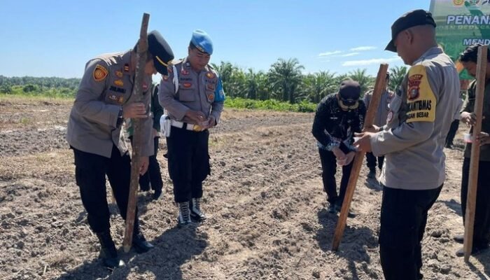 Tanam Jagung Perdana di Kuartal IV, Polres Dumai Berkontribusi untuk Ketahanan Pangan