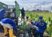 Petugas-Warga Binaan Lapas Purwokerto Kerja Bakti-Salurkan Bansos di Pamijen – Update 2