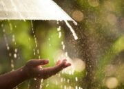 Sedia Payung! BMKG Prediksi Jakarta Diguyur Hujan Siang-Malam Ini – Update 3