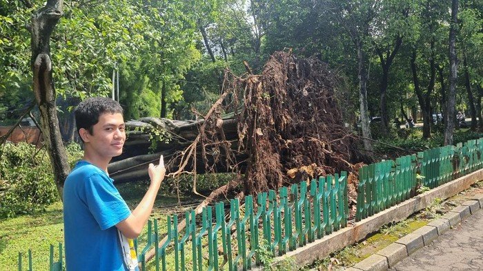 [Pram: Pohon Tumbang di Dharmawangsa, Cuaca Ekstrem Bikin Warga Resah]