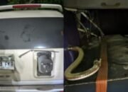 **Terungkap! Mobil Modifikasi Bawa Bahan Bakar Subsidi, 1 Orang Ditangkap di Bogor**