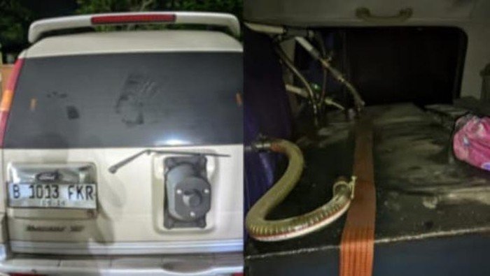 **Terungkap! Mobil Modifikasi Bawa Bahan Bakar Subsidi, 1 Orang Ditangkap di Bogor**