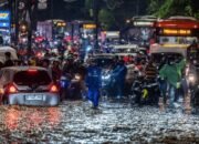 Dari Relokasi hingga Evakuasi, Ini Cara Menghadapi Banjir Menurut Ahli