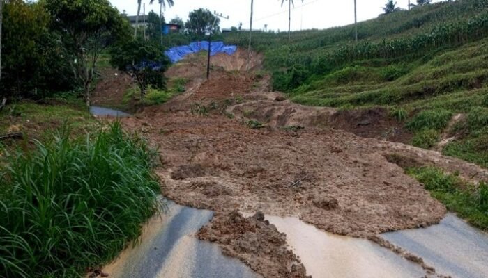 Longsor 100 Meter Menerjang, Jalur Utama Tulungagung-Trenggalek Terpotong