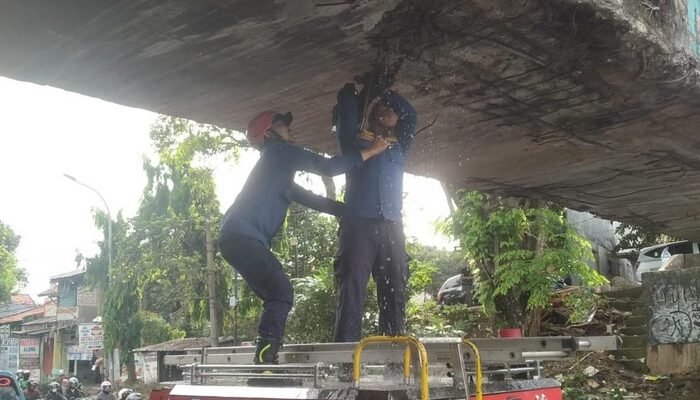 2. [Truk Kontainer Nyangkut, Jembatan Air di Kedunghalang Bogor Bocor!]