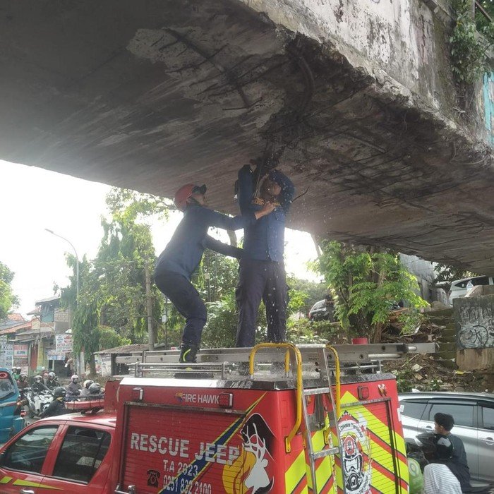 2. [Truk Kontainer Nyangkut, Jembatan Air di Kedunghalang Bogor Bocor!]