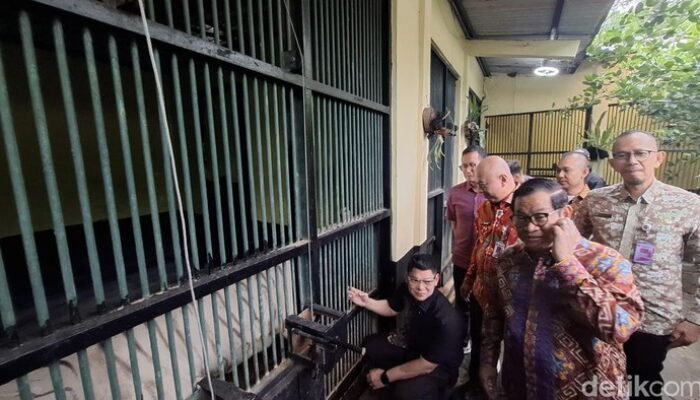 Pramono: Isu Pakan Harimau Ragunan Dibawa Pulang, Nggak Ada!