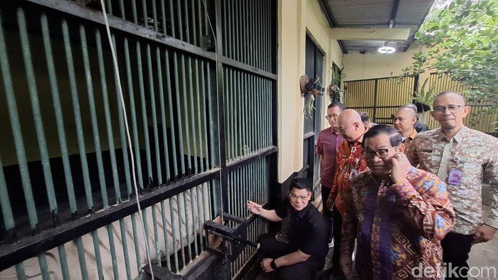 Pramono: Isu Pakan Harimau Ragunan Dibawa Pulang, Nggak Ada!