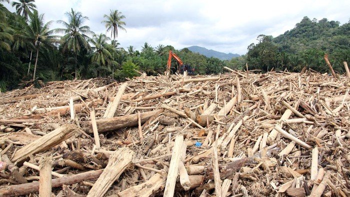 8 Perusahaan Diteror Kementerian LH, Kedalaman Sumber Gelondongan Kayu di Sumut Ditanya
