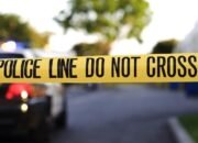 Momen Mematikan: Remaja Brasil Tewas Karena Singa Setelah Masuk Kandang