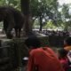Lebaran H+1, Ragunan Zoo Buka Dengan Jadwal Spesial Pukul 06.00-16.00