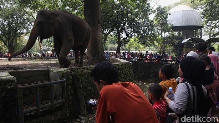 Lebaran H+1, Ragunan Zoo Buka Dengan Jadwal Spesial Pukul 06.00-16.00