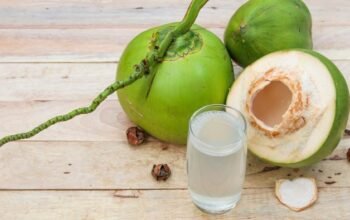 Dampak Sajikan Kelapa Utuh, BGN Setop Sementara 9 Dapur MBG