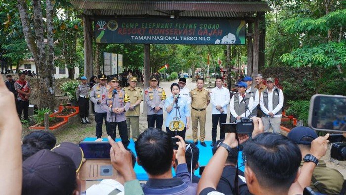 Polri dan Presiden Bersatu: Rehabilitasi TNTN untuk Gajah, Solusi Cerdas atau Tantangan?