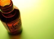 **Dari Payung ke Tragedi: Kisah Tokoh Oposisi yang Meninggal di Halte Bus**