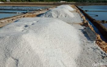 RI Setop Impor Garam Industri 2027: Siapakah yang Menang dan Kalah?