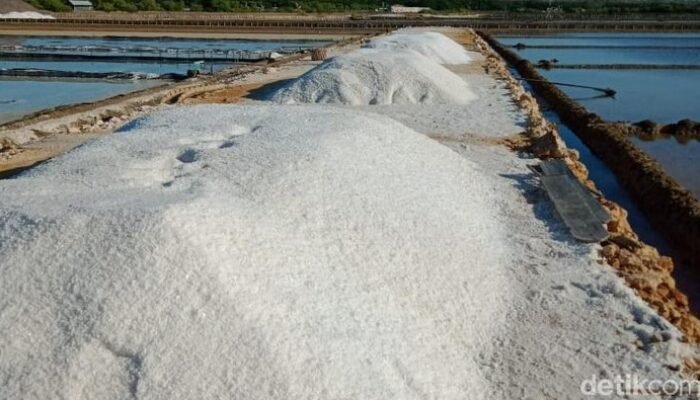 RI Setop Impor Garam Industri 2027: Siapakah yang Menang dan Kalah?